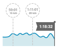 Image of the Race Analysis feature