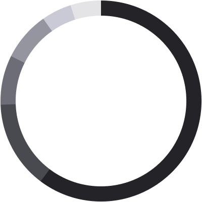 Race Pie Chart