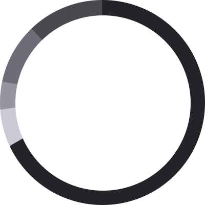 Race Pie Chart