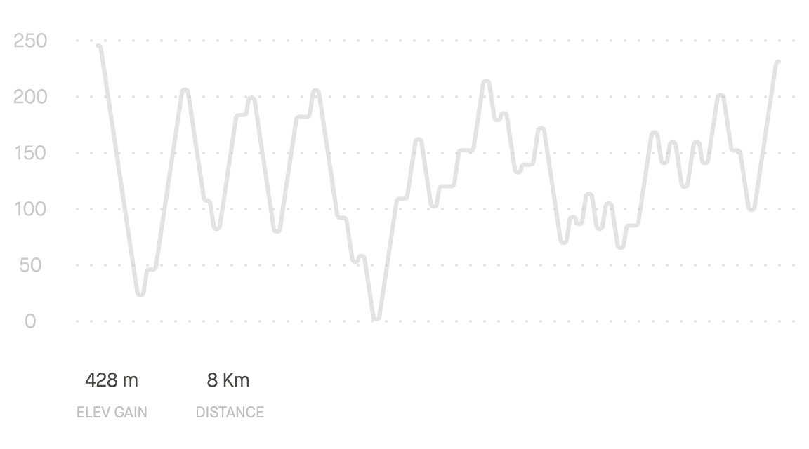 Performance Graph